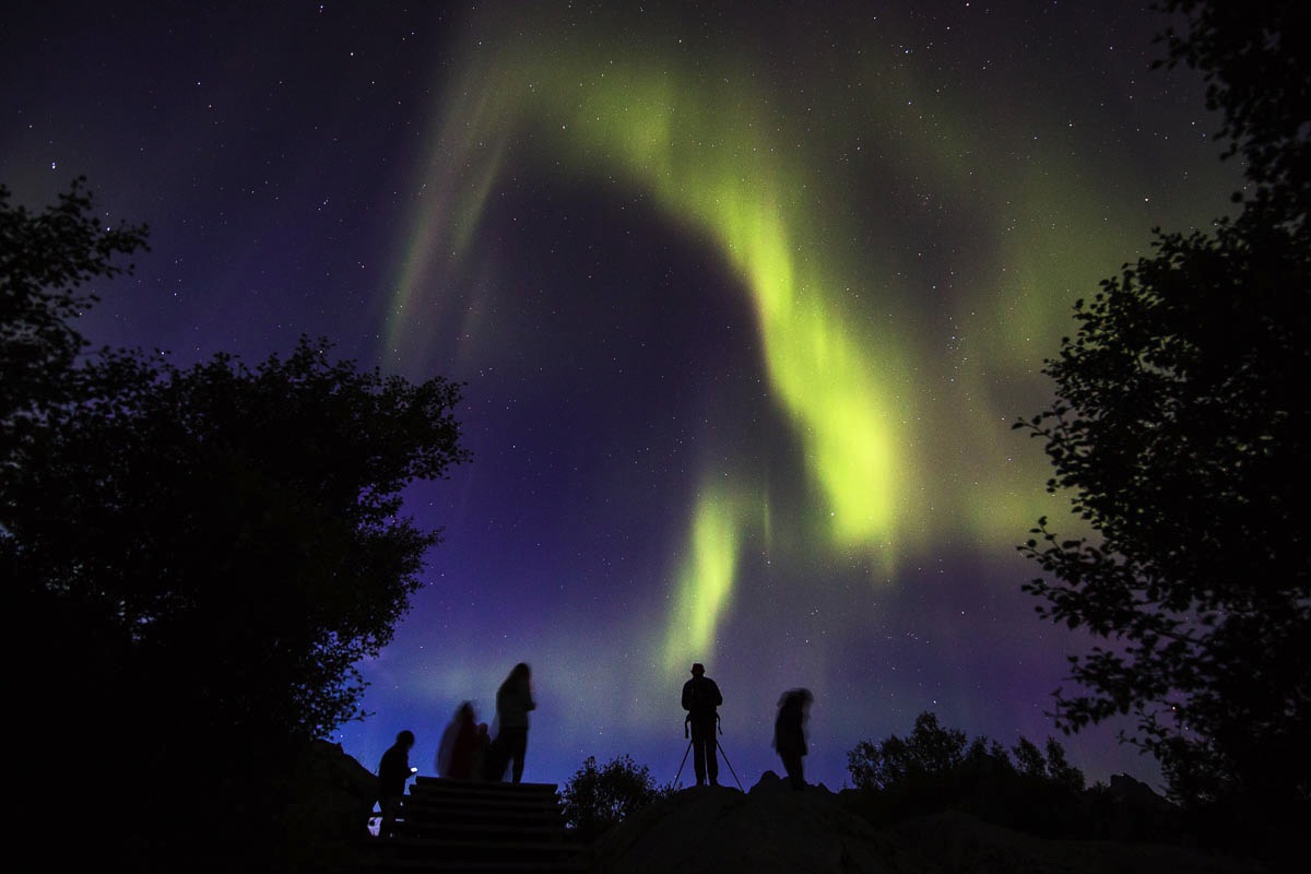 lofoten aurora northern lights